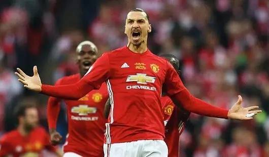 显得尤为贴 显得尤为贴